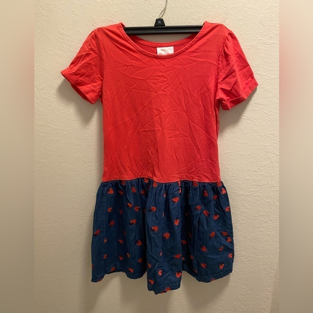 Hanna Andersson Strawberry Embroidered Denim Dress Size 10
